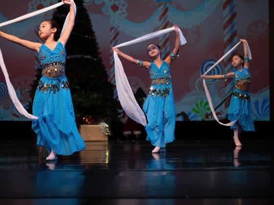 Victoria Ballet performance photograph