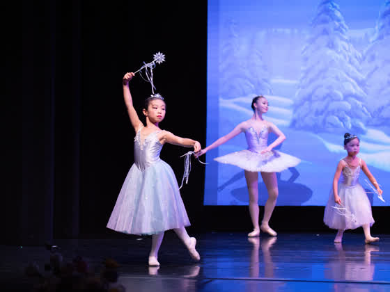 Victoria Ballet performance photograph