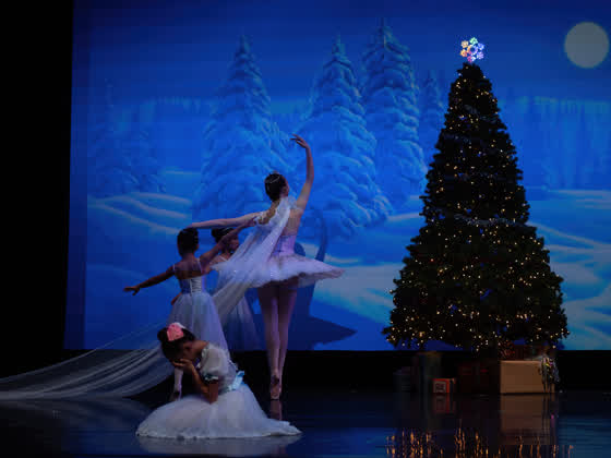 Victoria Ballet performance photograph
